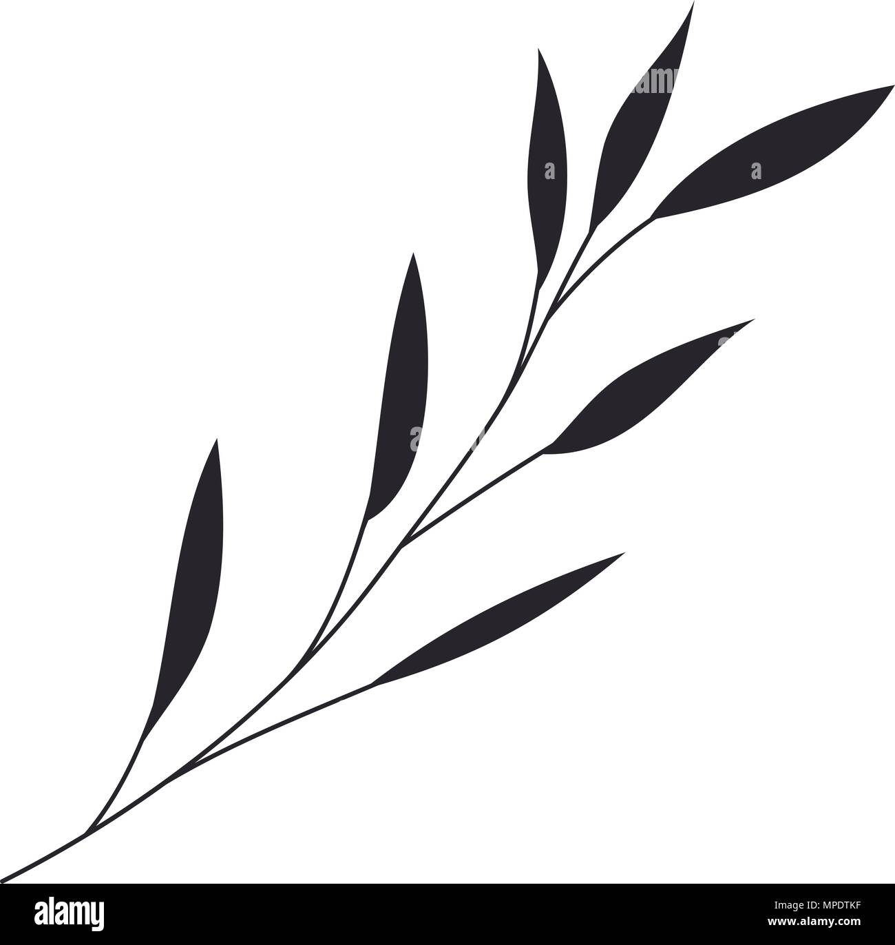 branch with leafs decorative icon vector illustration design Stock ...