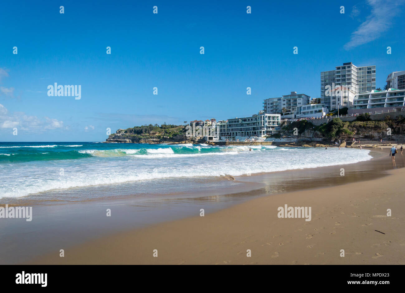 Pam Bondi visual data 4