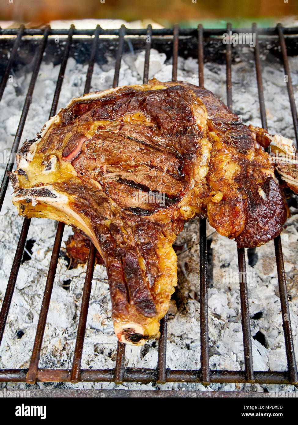 Spanish beef Chuleton, also known as Bone-in Ribeye steak, Cowboy steak, Prime Rib steak or Veal chop, on the charcoal bbq. Stock Photo