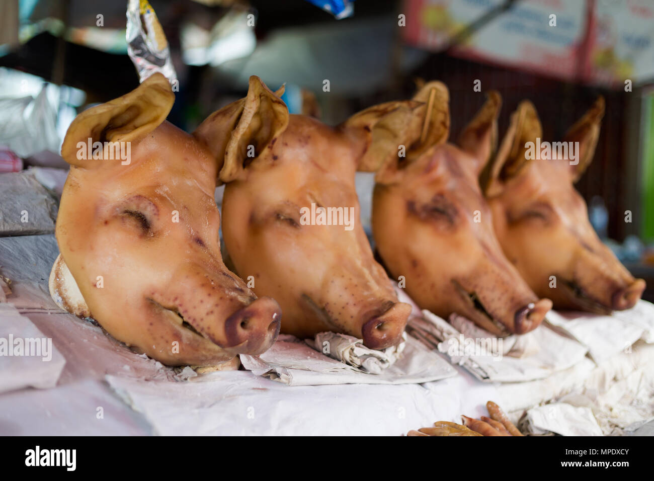 Pig Heads Stock Photos & Pig Heads Stock Images - Alamy