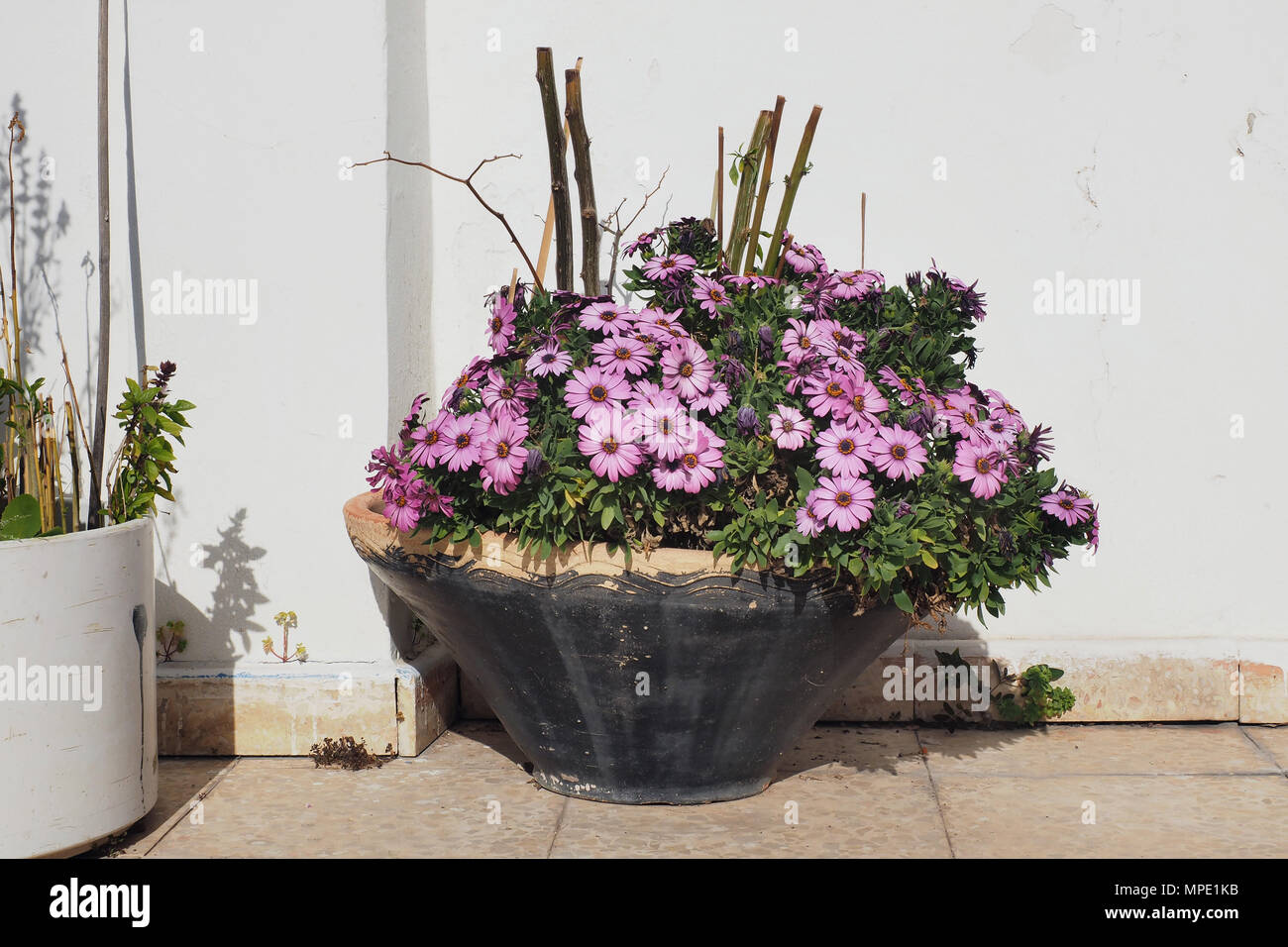 Large Brown Cone Shaped Vase Is Brown With A Lot Of Crimson Color