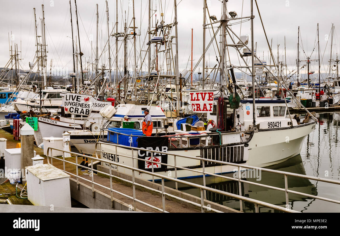 Half Moon Bay, CA/USA Dec. 7, 2014 It's crabbing season and
