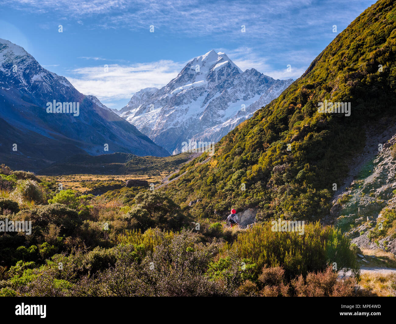 viewing mount. cook in daytime Stock Photo