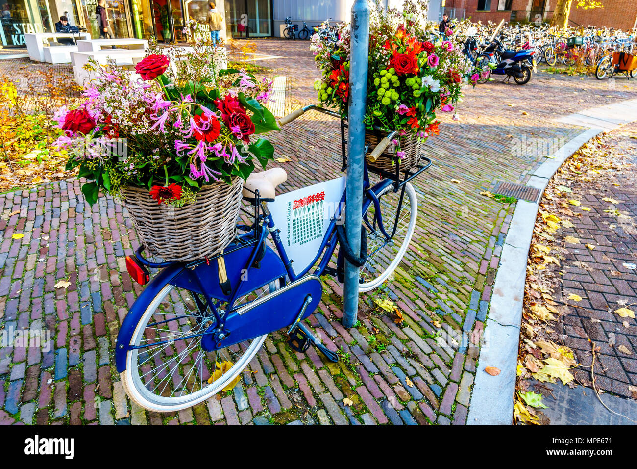 A typical Dutch tradition of a floral art display on an antique bike in the city center of Zwolle in the Netherlands Stock Photo