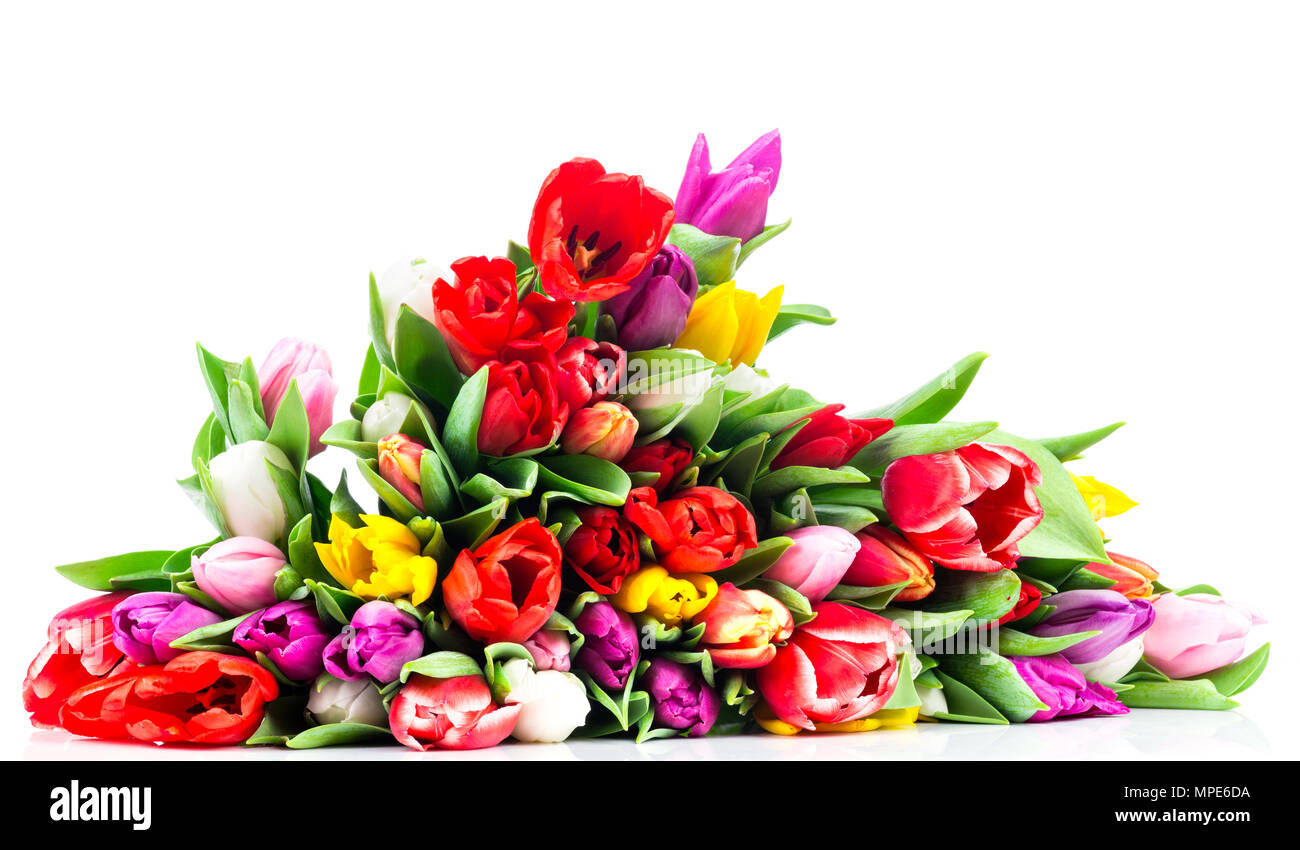Bouquet of tulips isolated on white background Stock Photo - Alamy