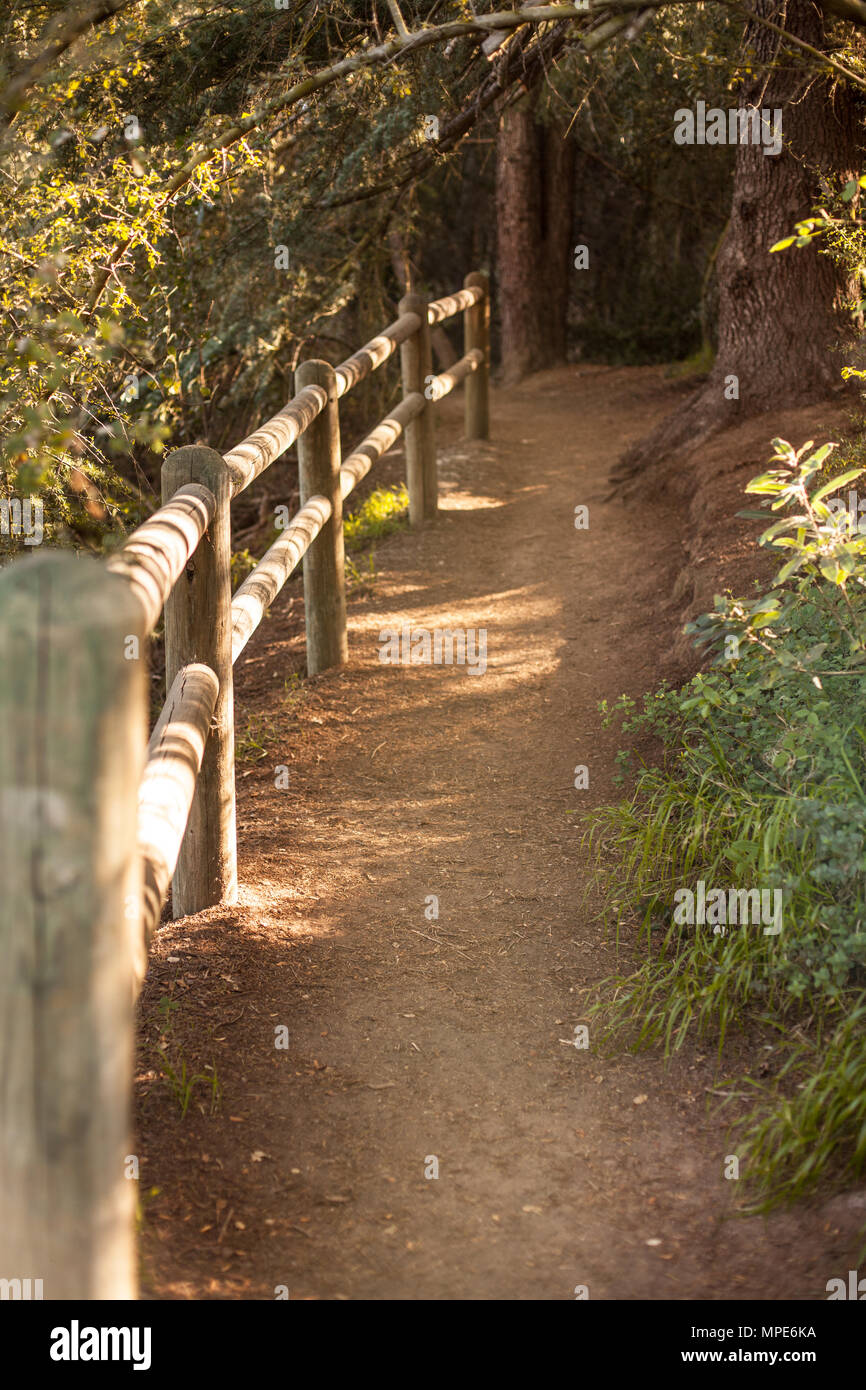 Peaceful Franklin Canyon Hike In Beverly Hills California The Park Comprises 605 Acres And Is Located At The Purported Geographical Center Of The City Of Los Angeles Stock Photo Alamy