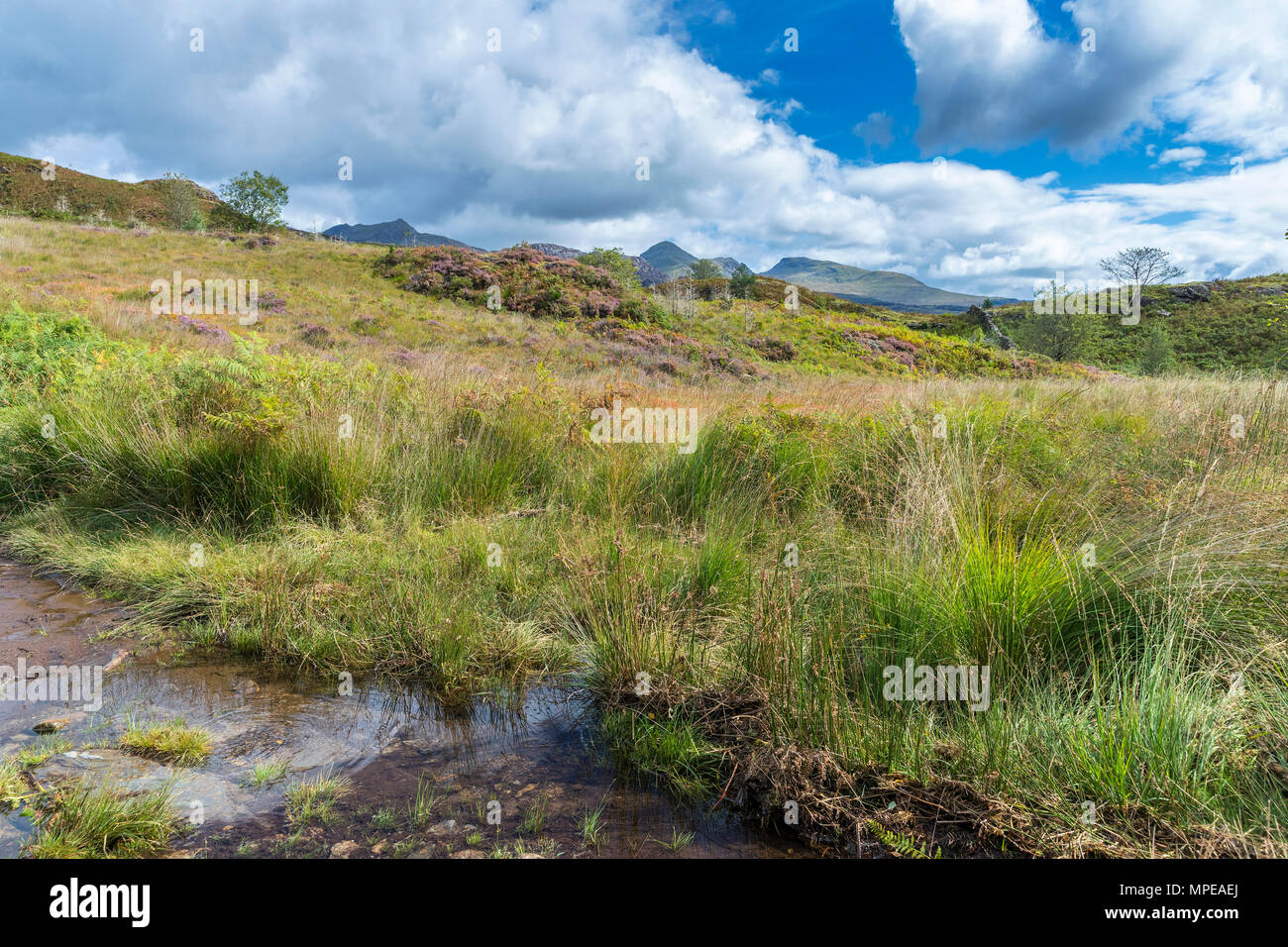 Cwm Parc High Resolution Stock Photography and Images - Alamy