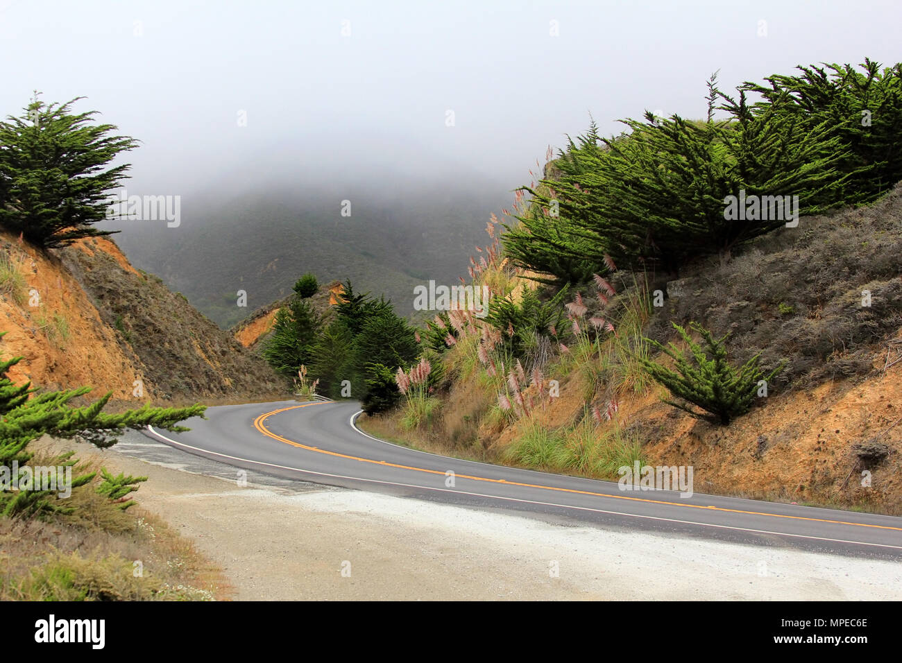 Road in the fog leading to Half Moon Bay. California Stock Photo