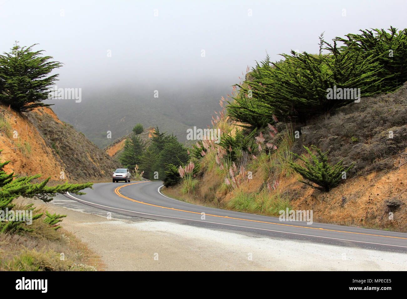 Road in the fog leading to Half Moon Bay. California Stock Photo