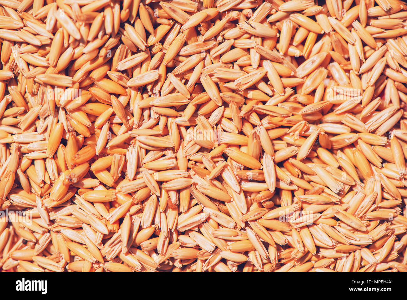 Oat seed top view as texture pattern or background Stock Photo