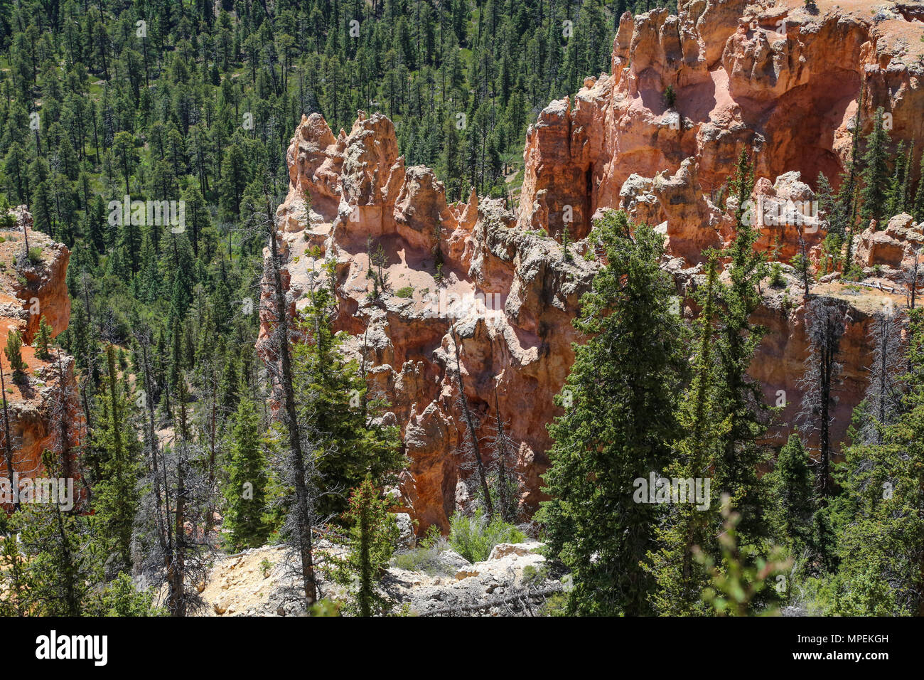 Farview Point at Bryce Canyon National Park, UT Stock Photo - Alamy