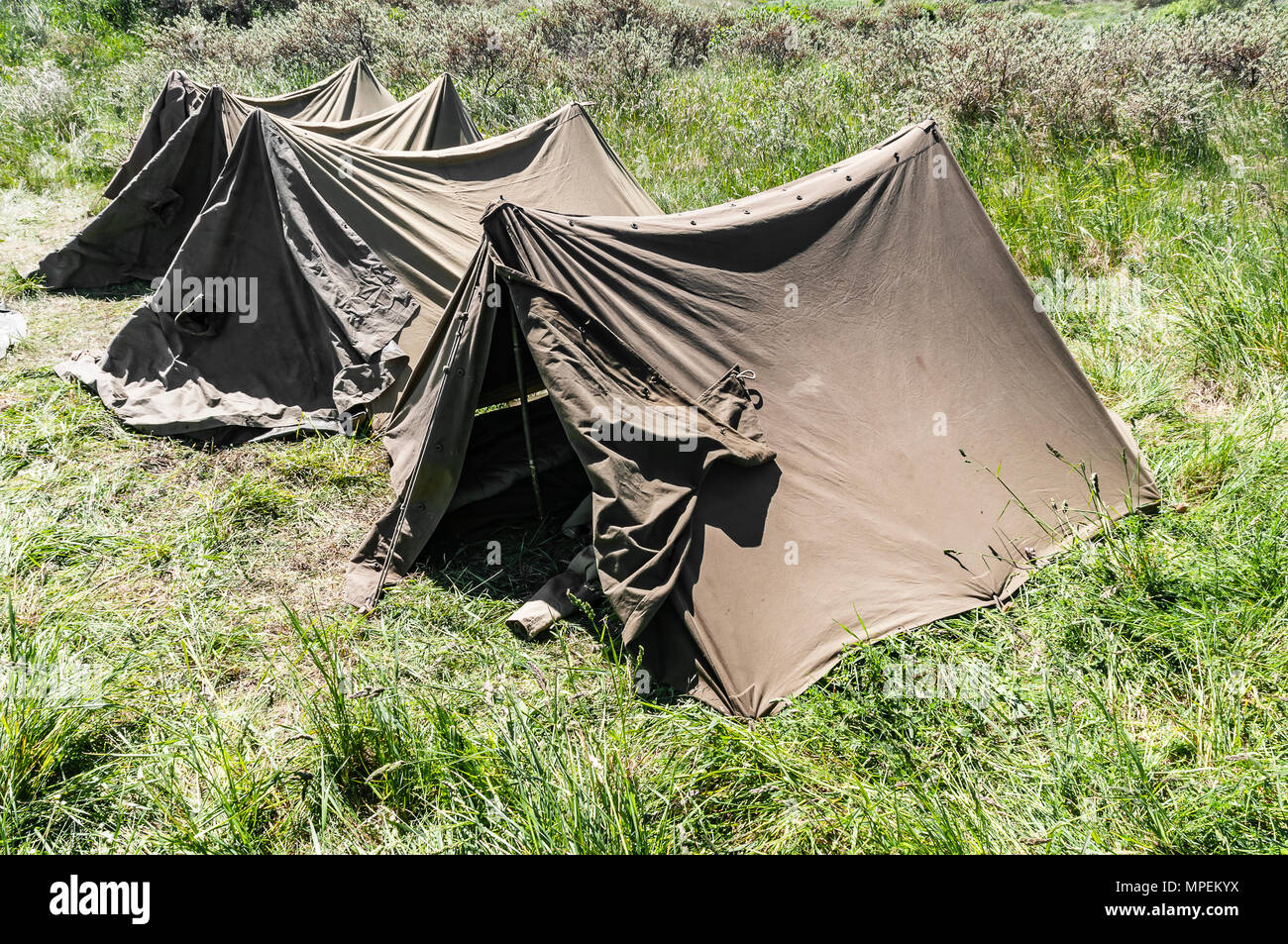 Four army tents from the Second World War set up in a pasture Stock Photo