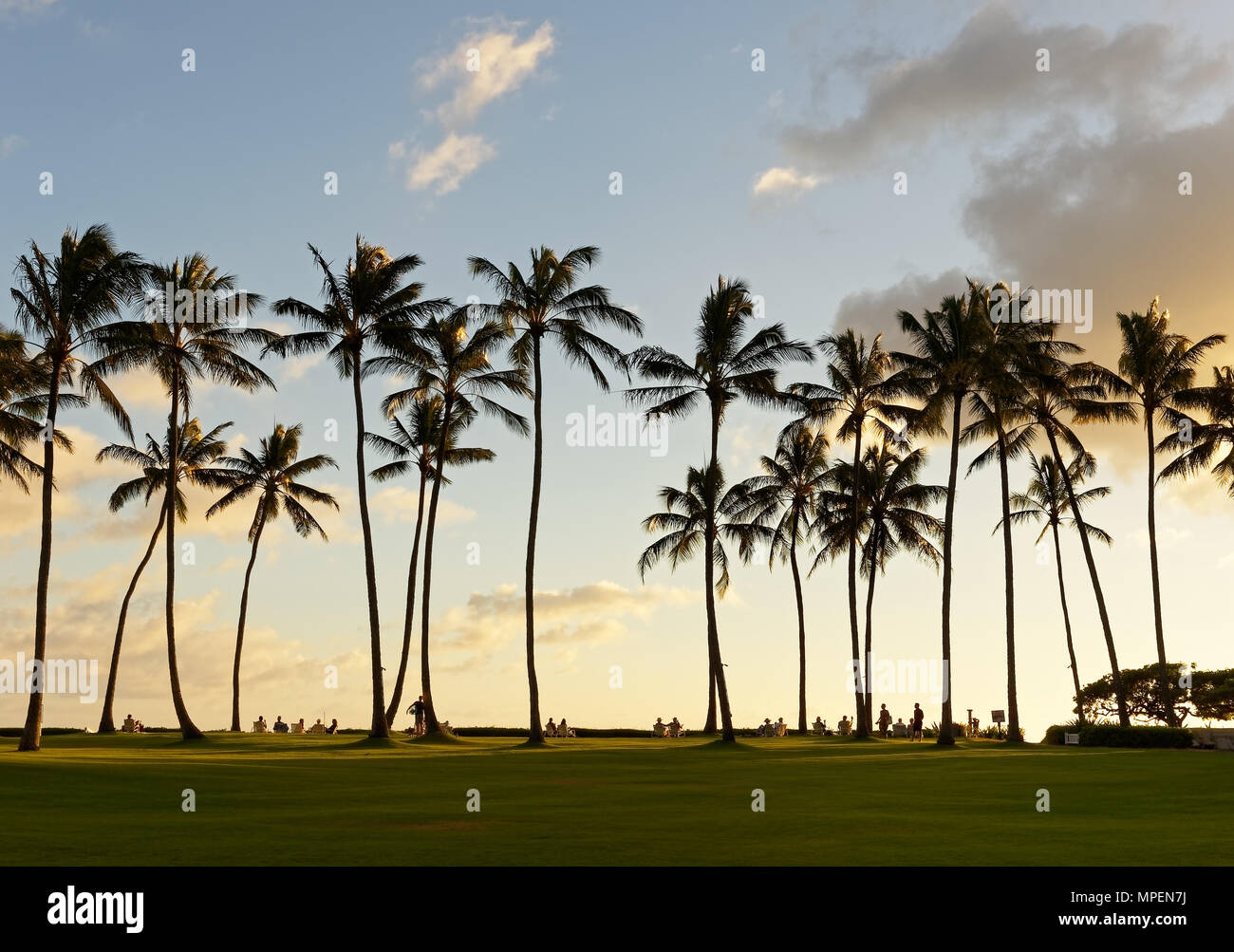 In a beach park vacationers sit in sun loungers under tall palm trees and watch the sunset and the evening light - Location: Hawaii Stock Photo