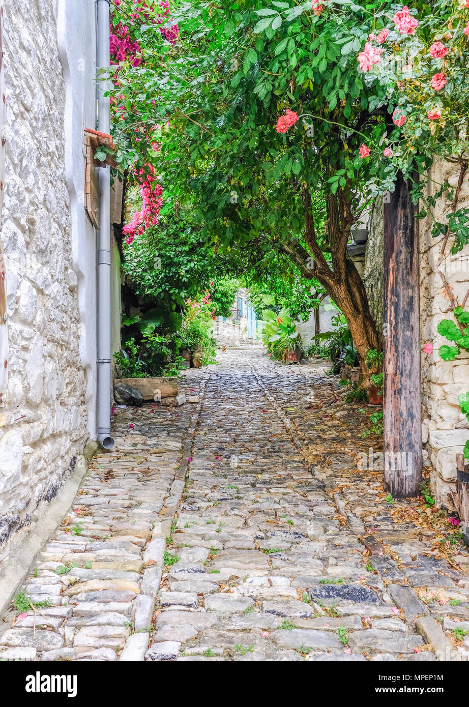 Typrical village narrow pathway leading up a cobbled walkway with overhanding green foliage of trees and plants and pink flowers. Stock Photo