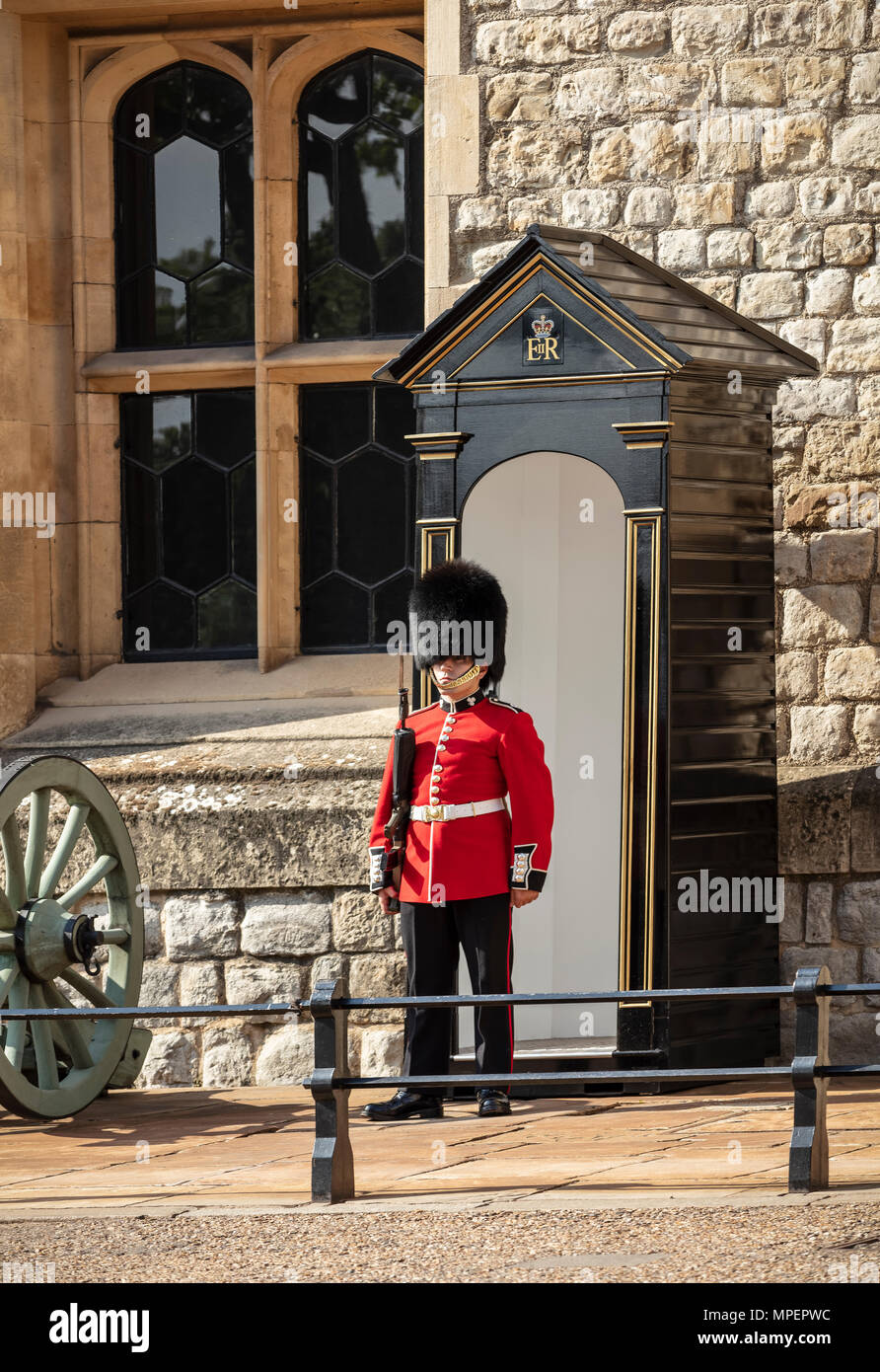 Sentry Guard on duty at Tower of London Stock Photo - Alamy