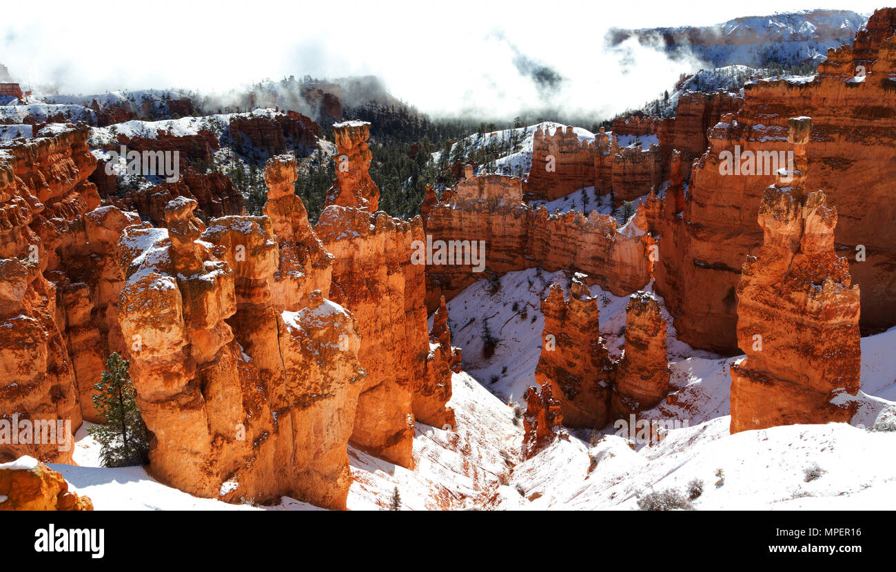 Bryce Canyon National Park Utah Usa Fresh Winter Snow Stock Photo Alamy