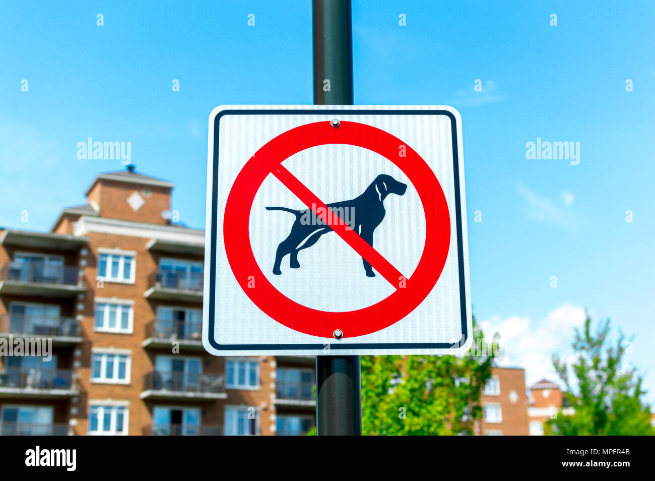 No dogs allowed in the forest, Montreal, Canada Stock Photo Alamy