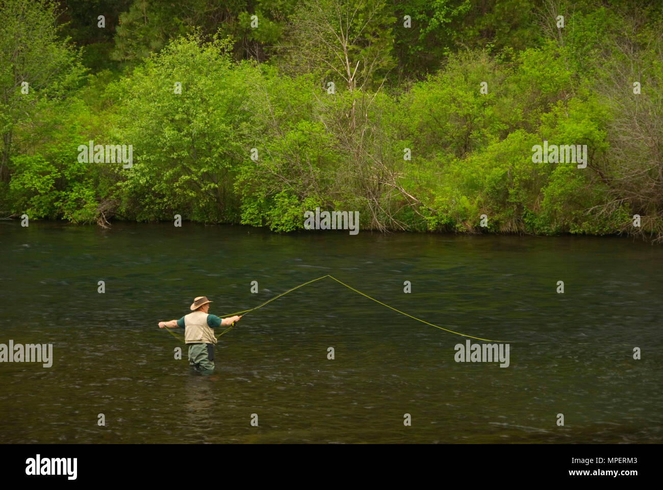 Flyfishing, Metolius Wild & Scenic River, Deschutes National Forest