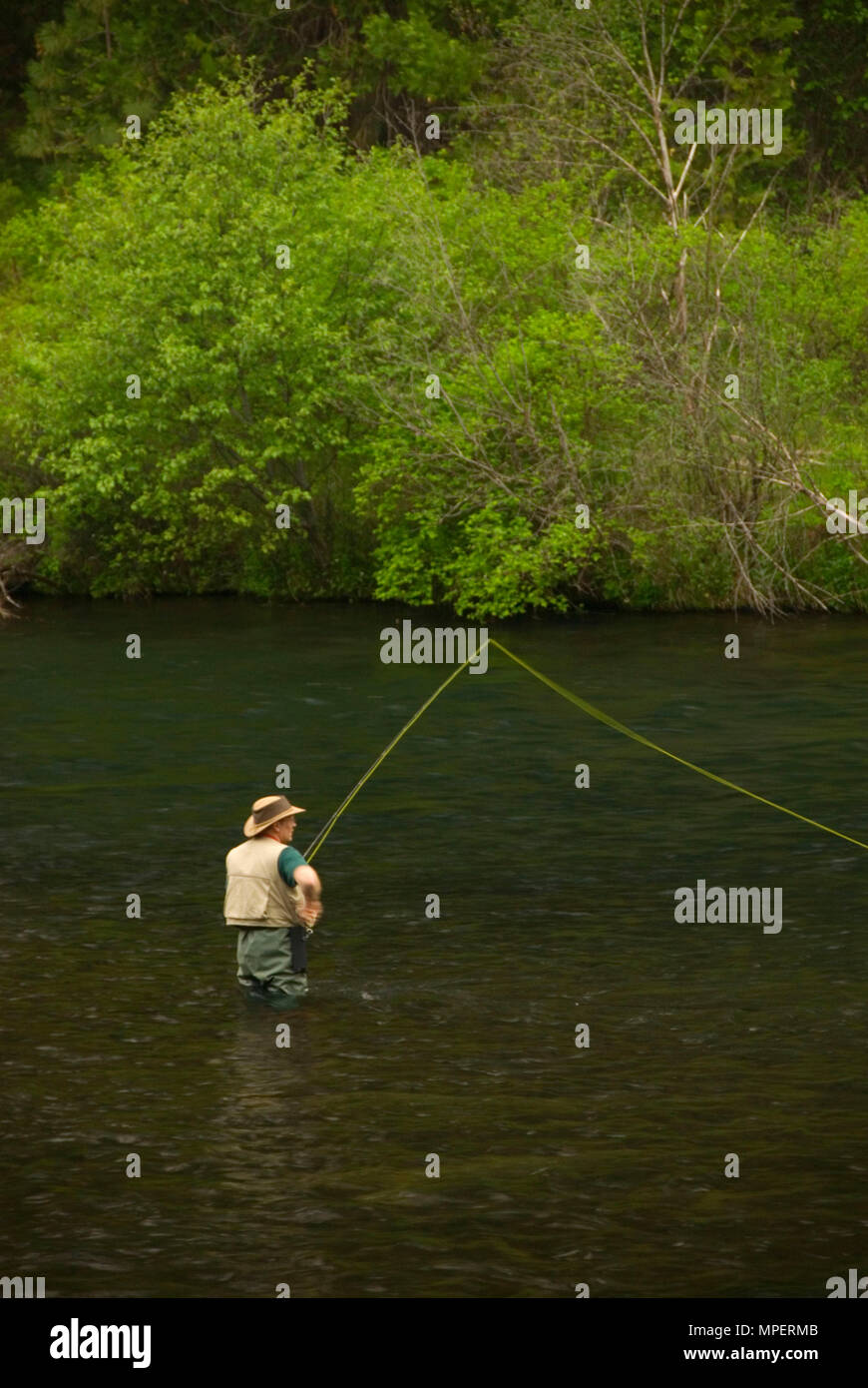 Flyfishing, Metolius Wild & Scenic River, Deschutes National Forest