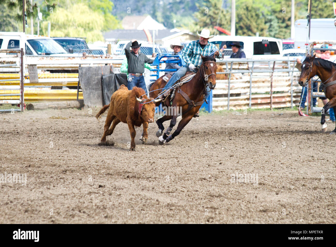 Header and heeler hires stock photography and images Alamy
