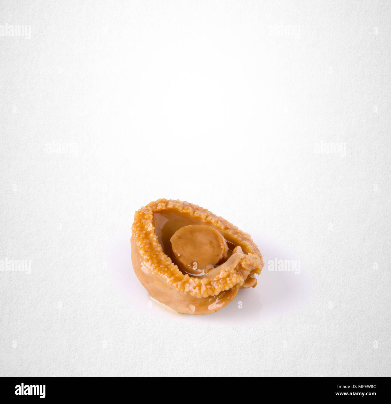 Abalones hi-res stock photography and images - Alamy