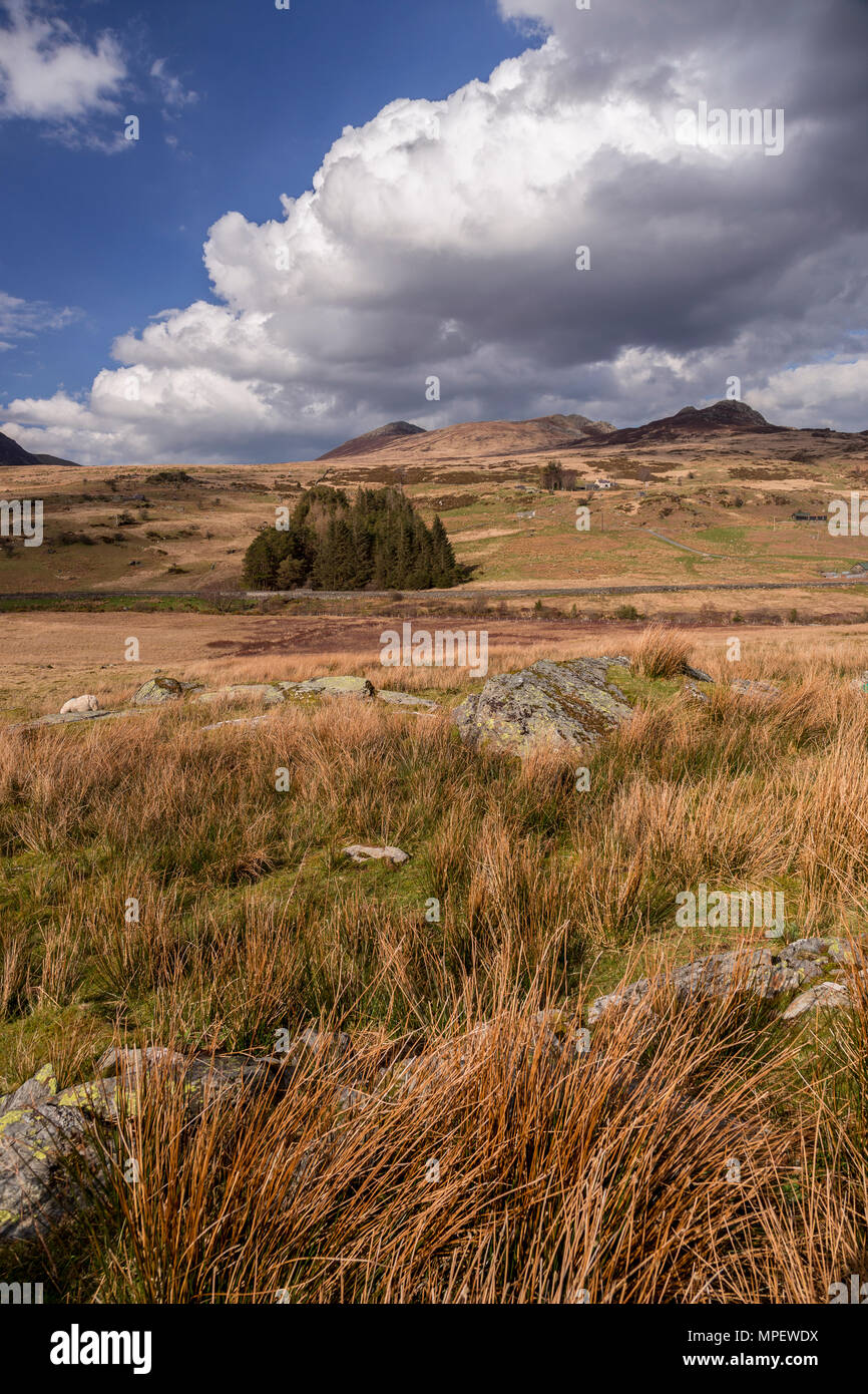 Mountains and moorland at Capel Curig, Snowdonia, North Wales on a bright sunny day Stock Photo