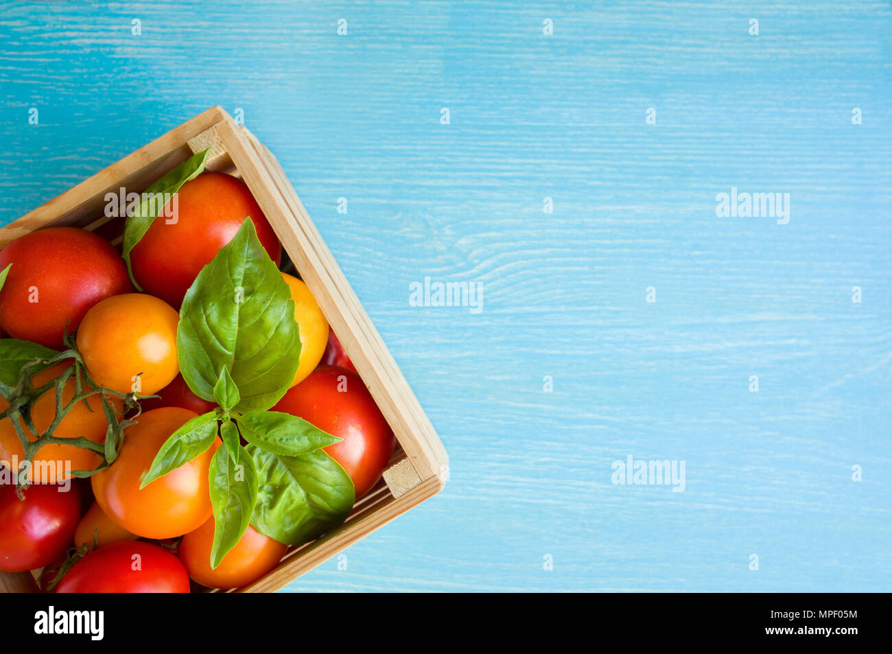 Fresh ripe tomatoes and basil in box on a blue background. Red and ...