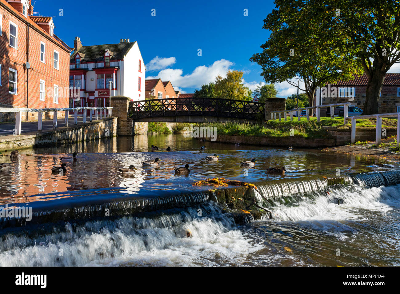 Ducks on weir on River Leven at Stokesley, North Yorkshire, UK Stock Photo