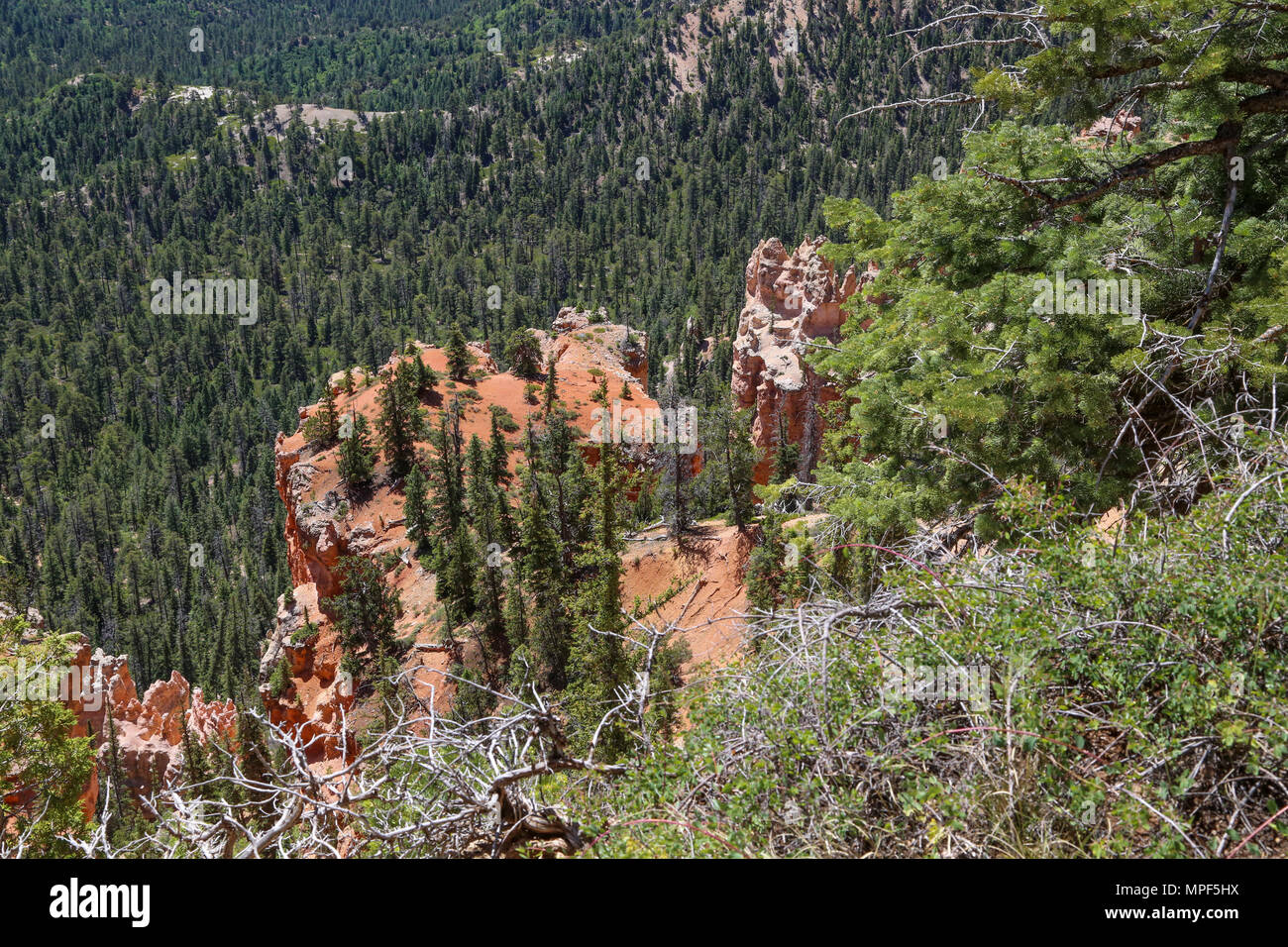 Farview Point at Bryce Canyon National Park, UT Stock Photo - Alamy