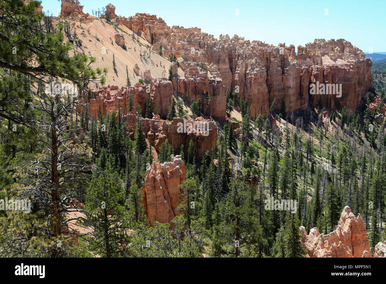 Farview Point at Bryce Canyon National Park, UT Stock Photo - Alamy