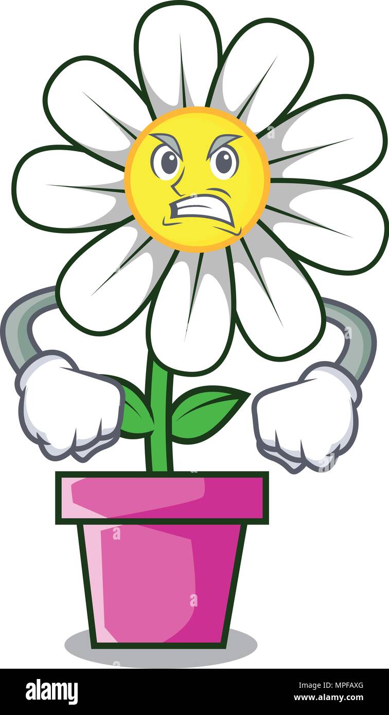 Angry daisy flower mascot cartoon Stock Vector Image & Art - Alamy