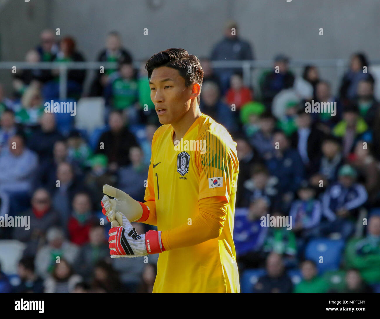 24 March 2018. International Football firendly 2018, Northern Ireland v South Korea at Windsor Park, Belfast. (1) Goalkeeper Kim Seung-gyu South Korea. Stock Photo
