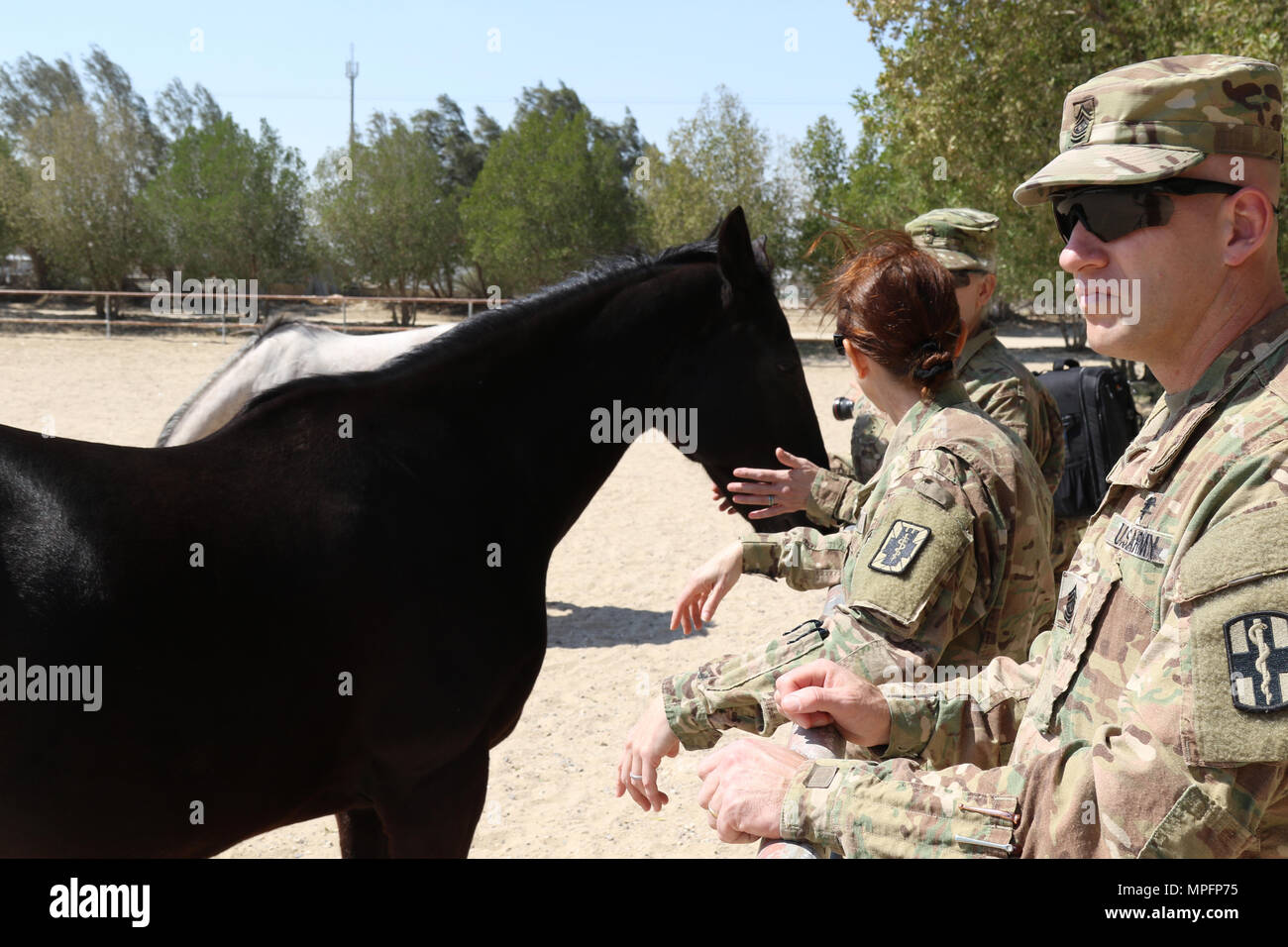 Command Sgt. Maj. Robert Nelson (right), the chief medical non-commissioned officer in charge, with the 31st Combat Support Hospital, along with Soldiers of the 195th Medical Detachment Veterinary Service Support, checks on the status of a pregnant horse, March 7, 2017, at the Kuwait Military of Defense. Their visit is part of the military to military project of sharing veterinarian services the United States has with its host nation of Kuwait. (U.S. Army photo by Sgt. Tom Wade, USARCENT PAO) Stock Photo
