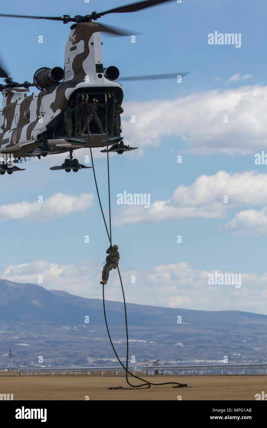 U.S. Marines fast rope from a CH-46 helicopter during Forest Light ...