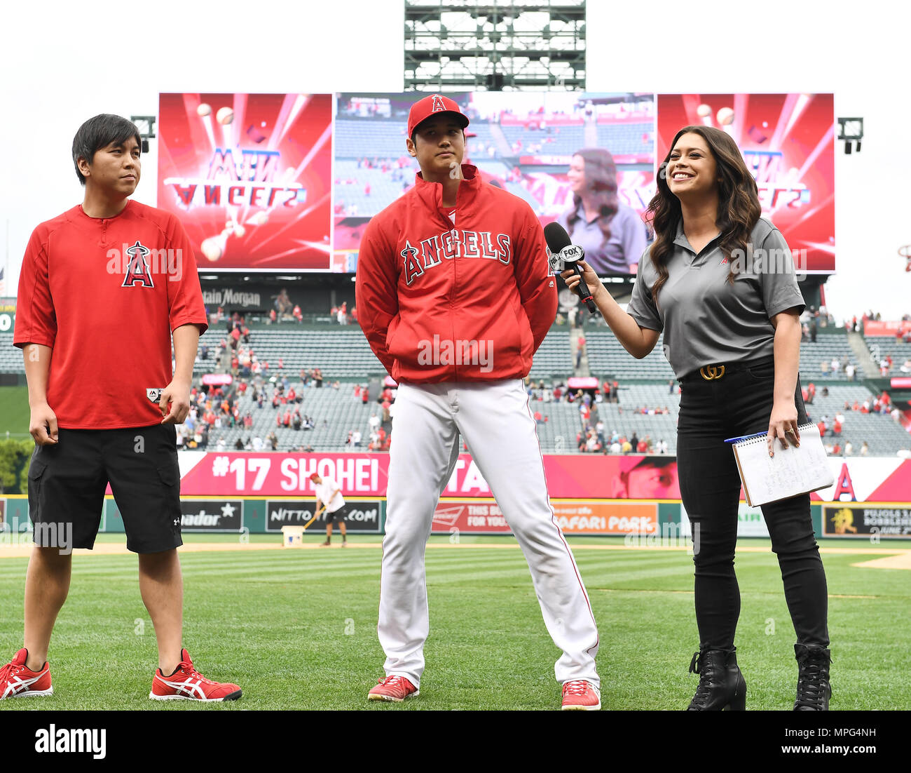 Los Angeles Angels starting pitcher Shohei Ohtani is interviewed with ...