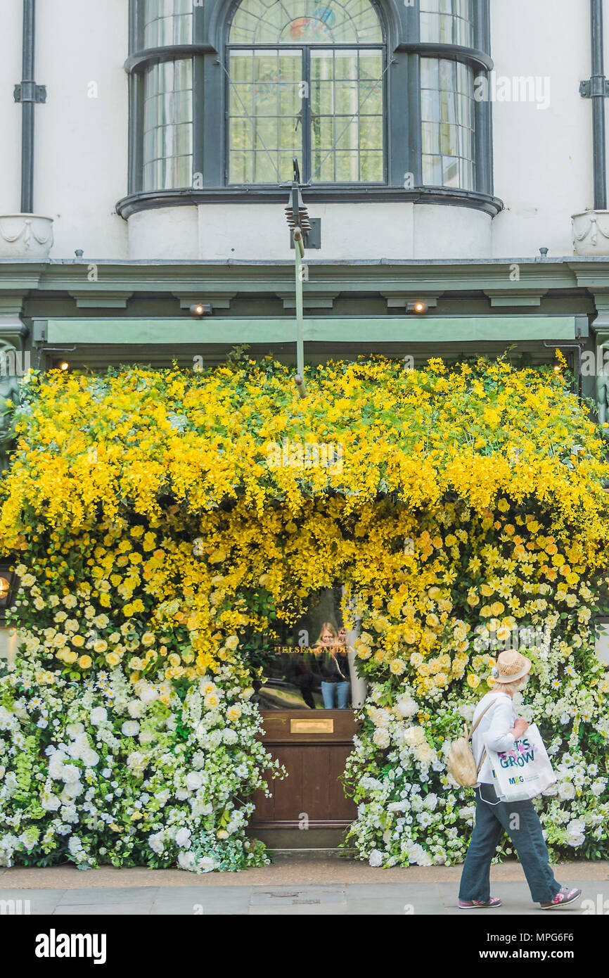 London, UK. 23rd May 2018. The Ivy Chelsea Garden branch in the Kings Road is covered in flowers as part of Chelsea in Bloom and the Chelsea fringe - The RHS Chelsea Flower Show at the Royal Hospital, Chelsea. Credit: Guy Bell/Alamy Live News Stock Photo