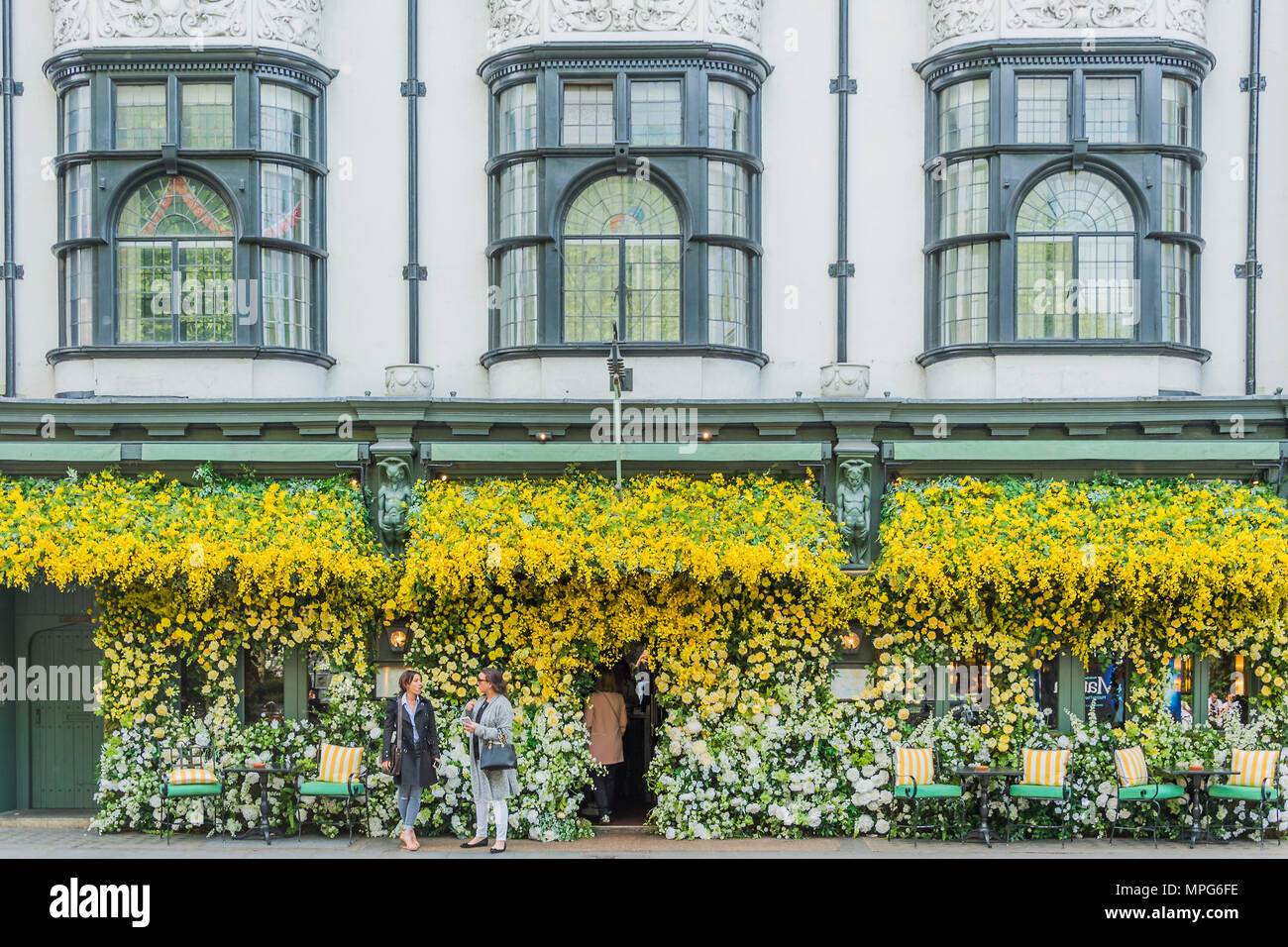 London, UK. 23rd May 2018. The Ivy Chelsea Garden branch in the Kings Road is covered in flowers as part of Chelsea in Bloom and the Chelsea fringe - The RHS Chelsea Flower Show at the Royal Hospital, Chelsea. Credit: Guy Bell/Alamy Live News Stock Photo