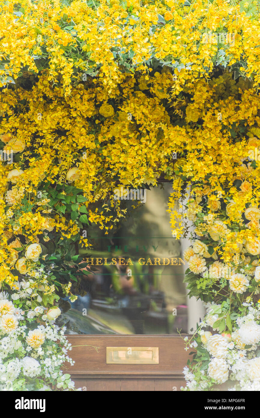 London, UK. 23rd May 2018. The Ivy Chelsea Garden branch in the Kings Road is covered in flowers as part of Chelsea in Bloom and the Chelsea fringe - The RHS Chelsea Flower Show at the Royal Hospital, Chelsea. Credit: Guy Bell/Alamy Live News Stock Photo
