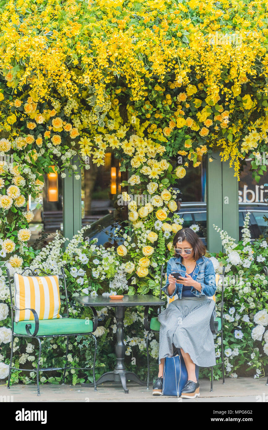 London, UK. 23rd May 2018. The Ivy Chelsea Garden branch in the Kings Road is covered in flowers as part of Chelsea in Bloom and the Chelsea fringe - The RHS Chelsea Flower Show at the Royal Hospital, Chelsea. Credit: Guy Bell/Alamy Live News Stock Photo