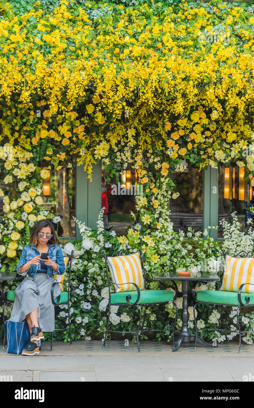 London, UK. 23rd May 2018. The Ivy Chelsea Garden branch in the Kings Road is covered in flowers as part of Chelsea in Bloom and the Chelsea fringe - The RHS Chelsea Flower Show at the Royal Hospital, Chelsea. Credit: Guy Bell/Alamy Live News Stock Photo