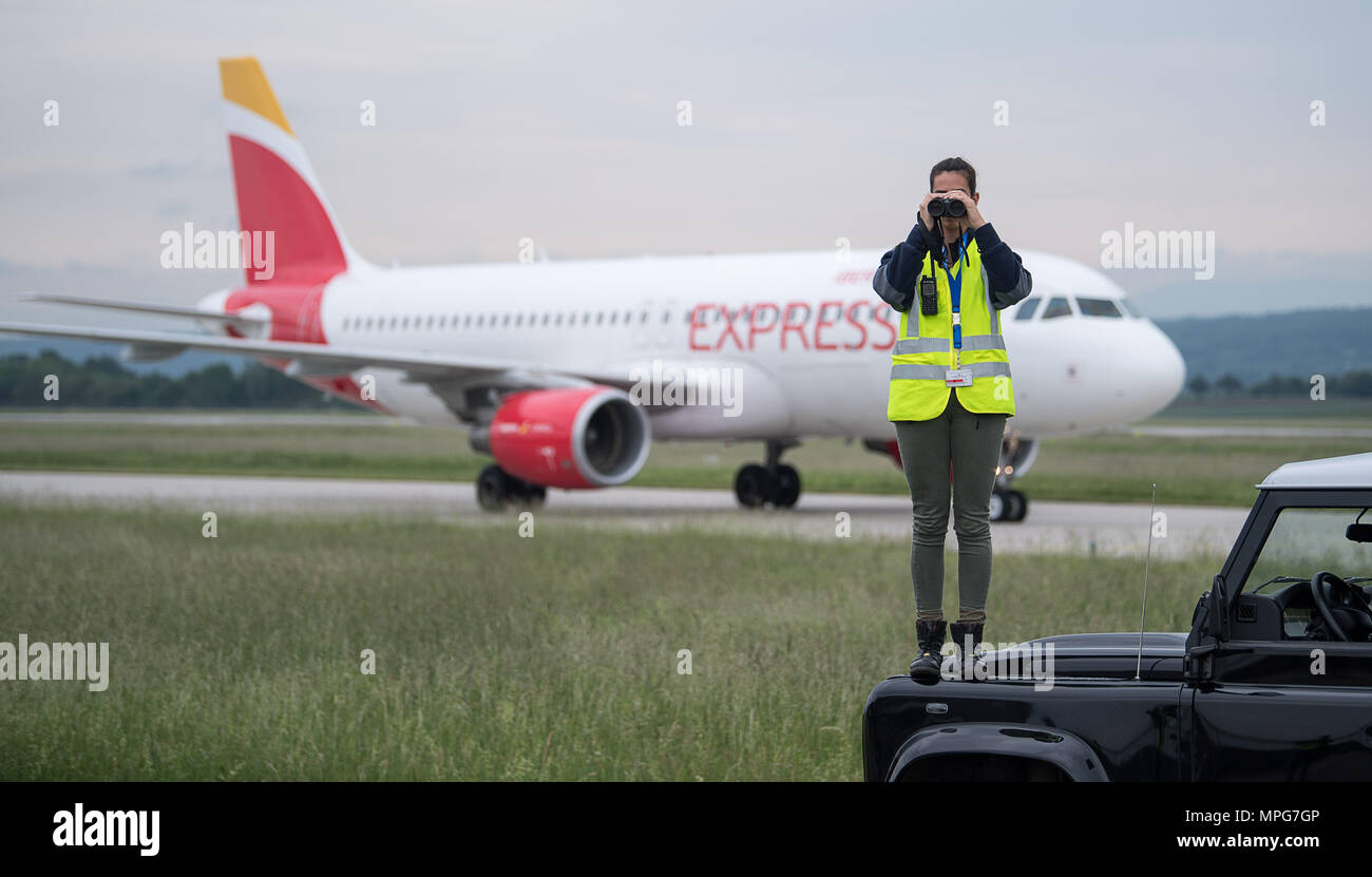 23 May 2018, Stuttgart, Germany: Bird vermin Anna Kopp looks through binoculars and in the backrground a plane is driving. According to the German Committee for the Prevention of Bird Strikes in Air Traffic (DAVVL), up to 2,100 so-called bird strikes are registered per year in the German airspace. Many airports are trying to scare away the birds. Photo: Sebastian Gollnow/dpa Stock Photo