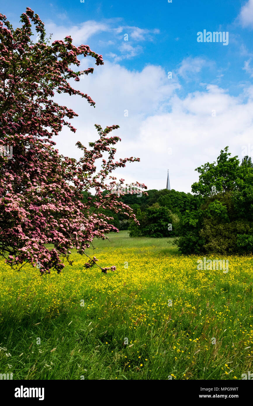 London, England. 23rd May 2018.  On a beautiful sunny day, the centre of Harrow is starting to look like the depths of the meadows of the countryside with spring colours leading up to St Mary's church at the summit of the hill. Credit: Tim Ring/Alamy Live News Stock Photo