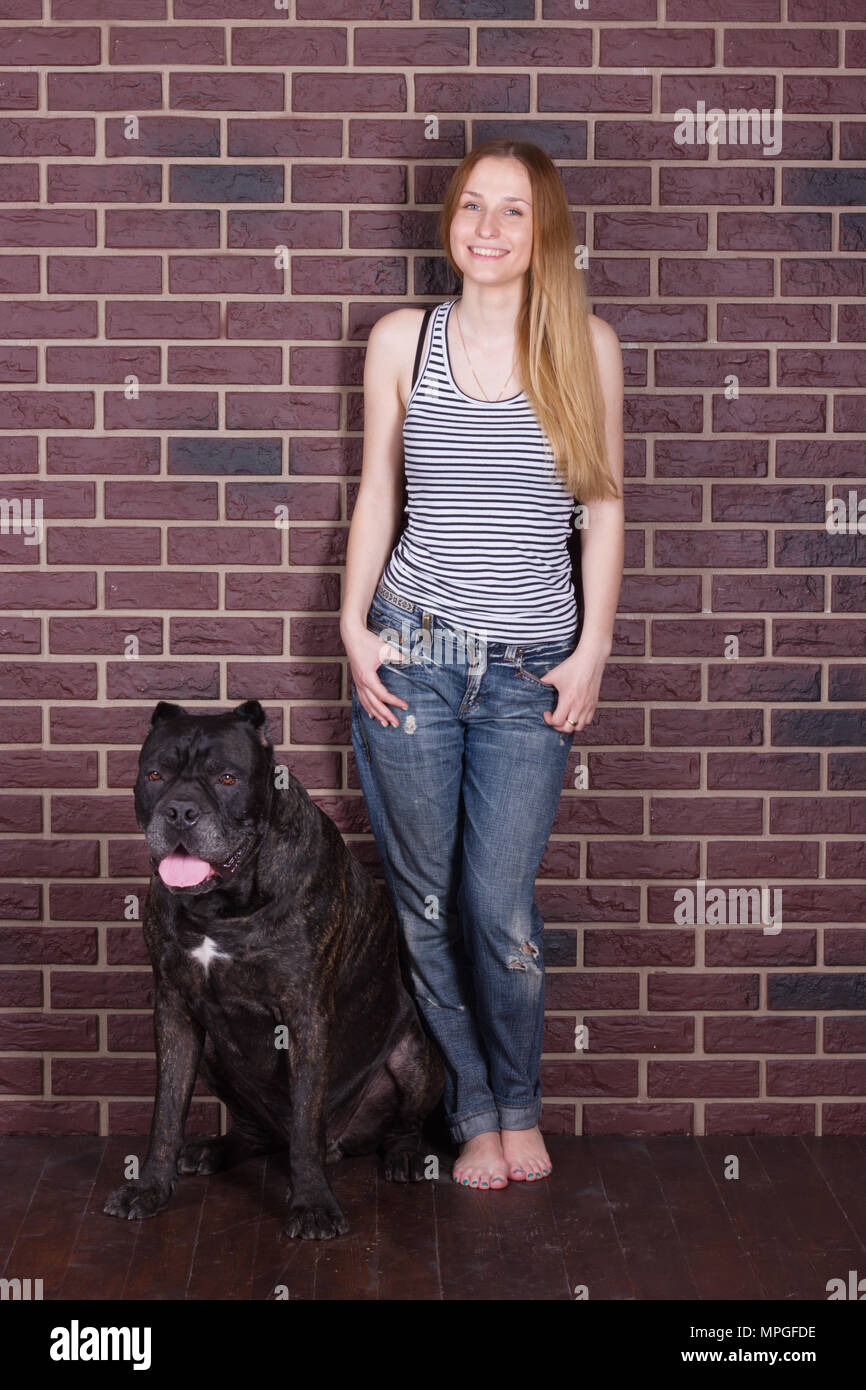 Girl In Jeans And Shirt Standing Near The Wall And Hugging Big Dog Cane Corso Stock Photo Alamy