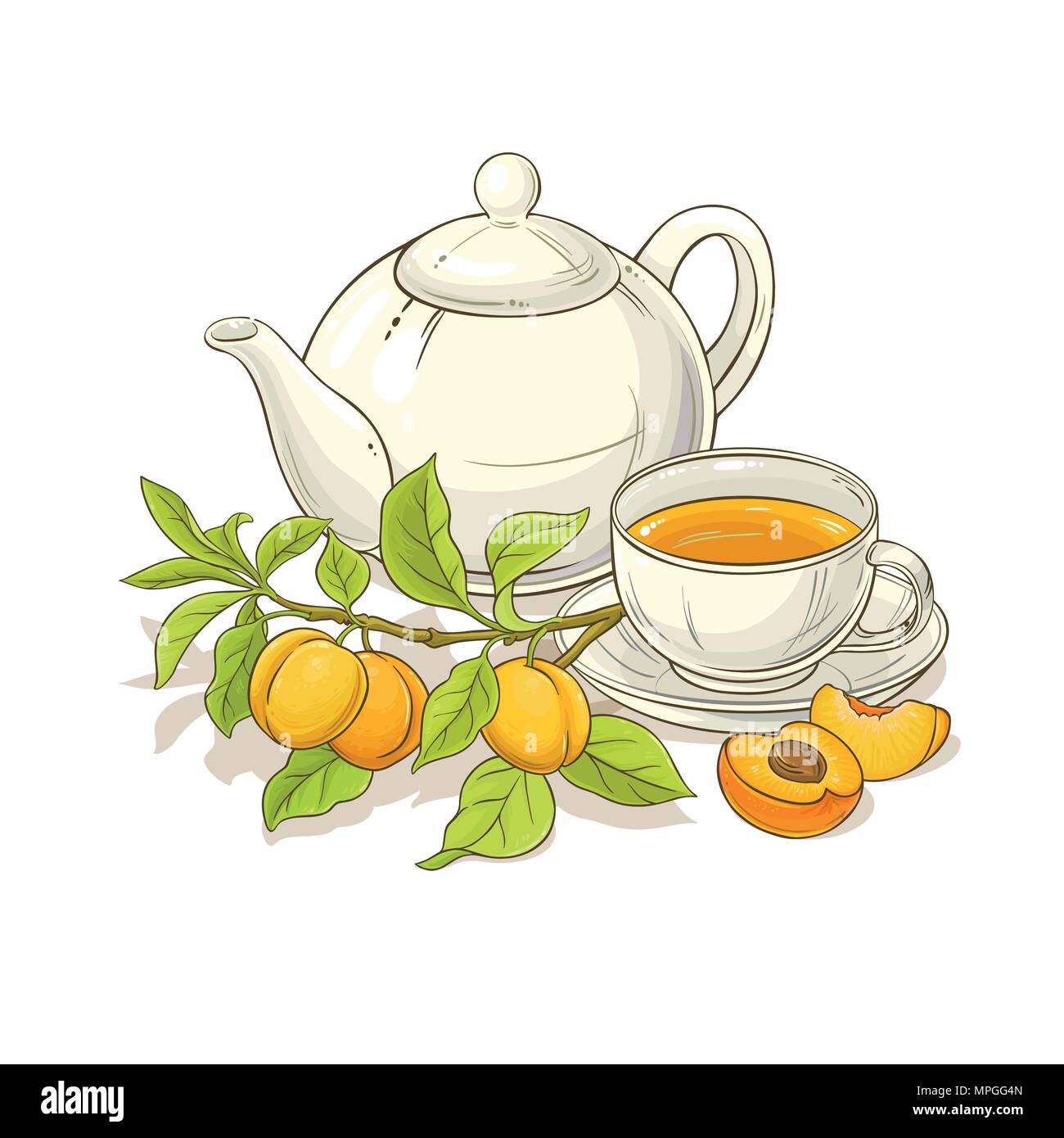 apricot tea vector  illustration on white backgrond Stock Vector