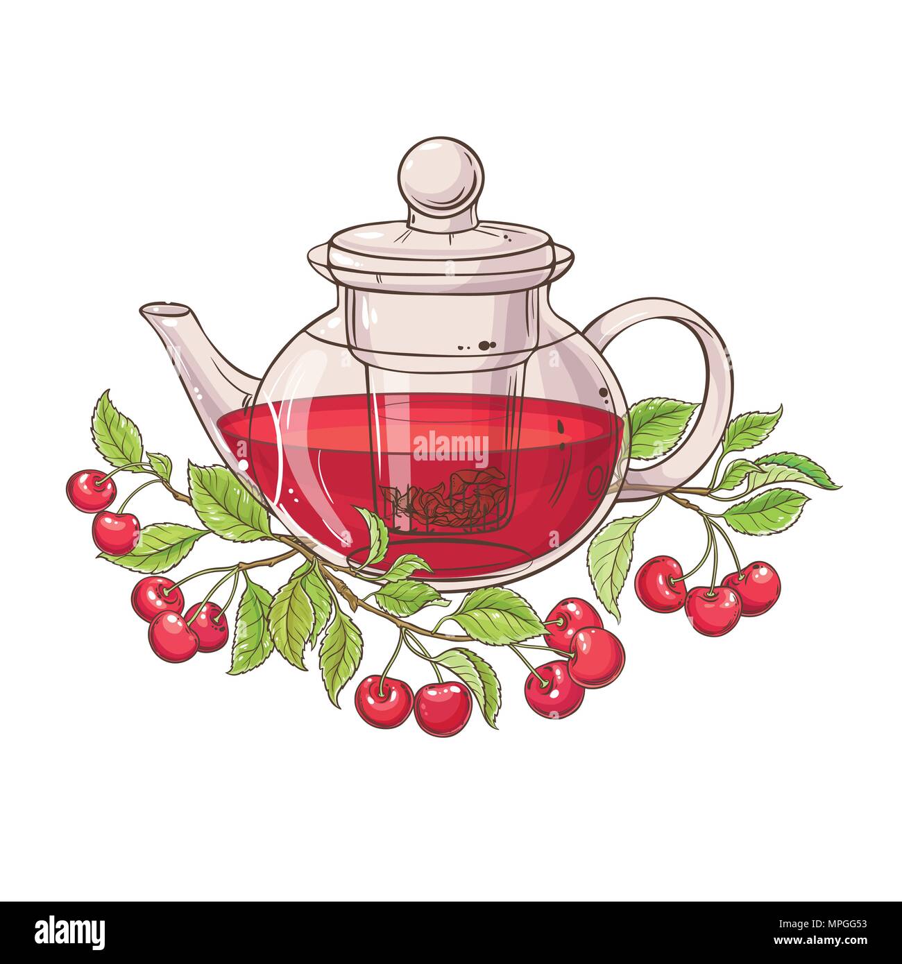cherry tea vector illustration on white background Stock Vector