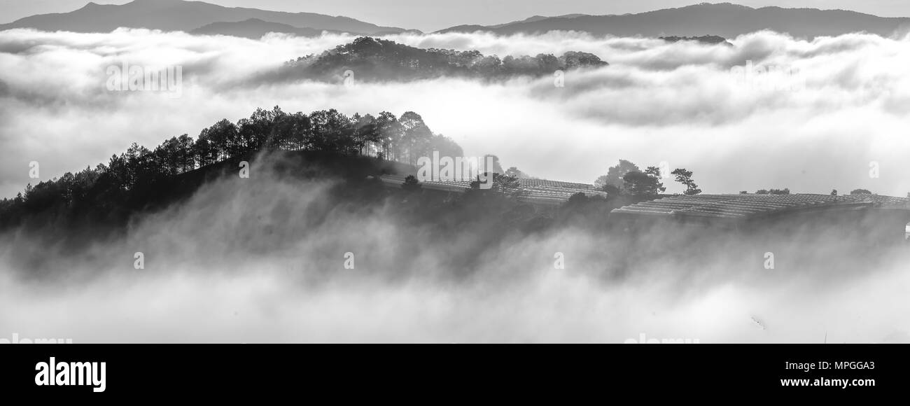 Beautiful sunrise through the fog with long shadows and sunbeams Stock Photo