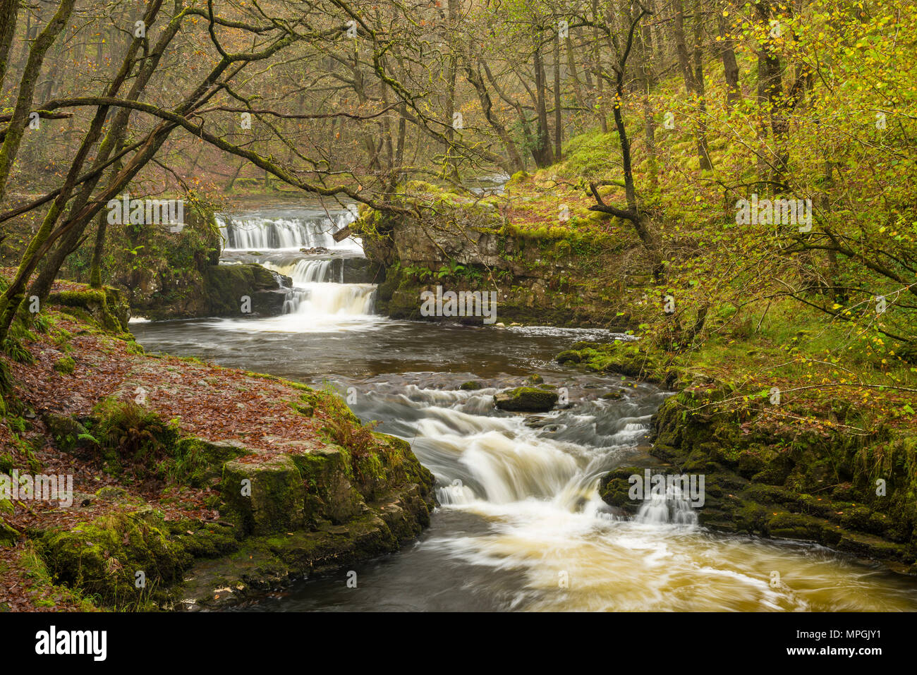 Sgwd y Bedol (Horseshoe Falls) waterfalls on the Nedd Fechan in the