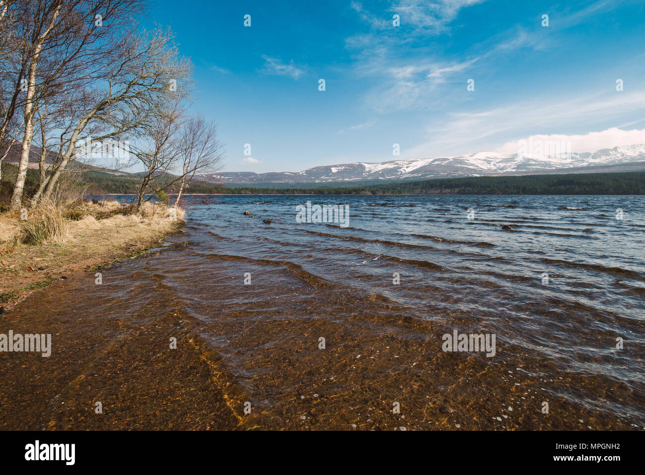 Beautiful loch in a sunny day in Aviemore, Scotland. Stock Photo