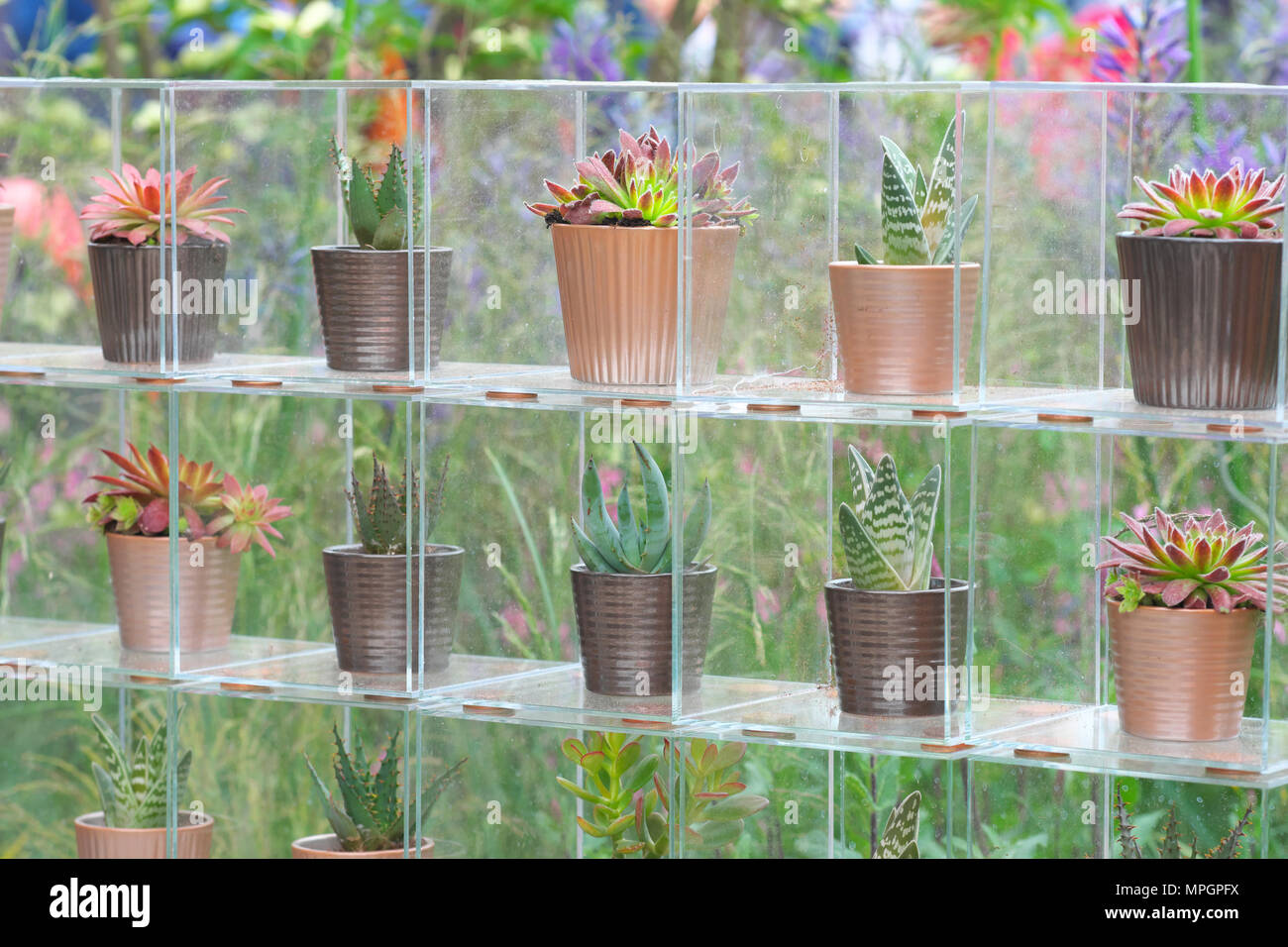Clear plastic containers hires stock photography and images Alamy