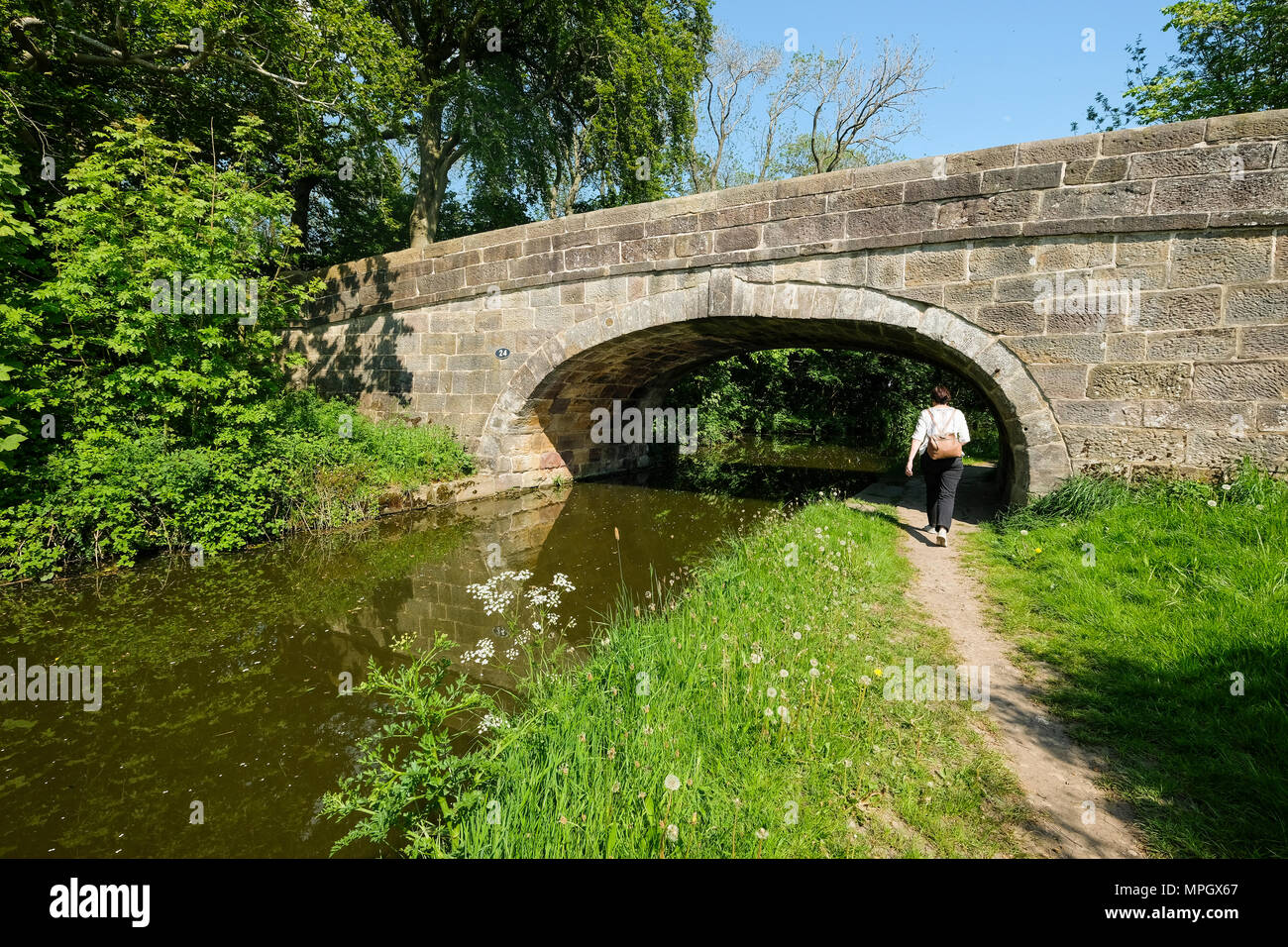 Woman walking along tow path on the Lancaster Canal in Preston Stock Photo